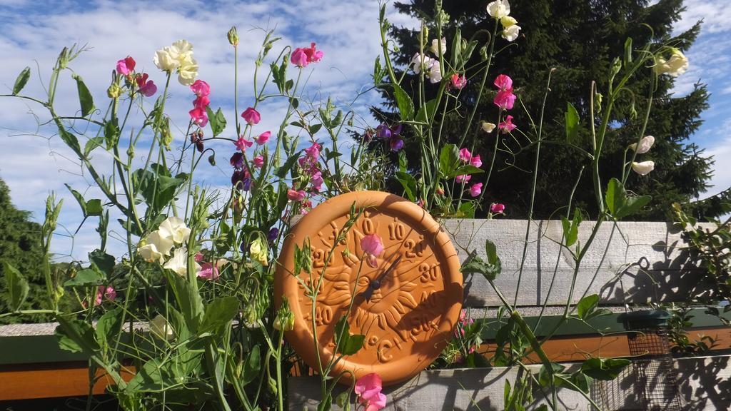 Roth Ach Bed & Breakfast Avoch ภายนอก รูปภาพ
